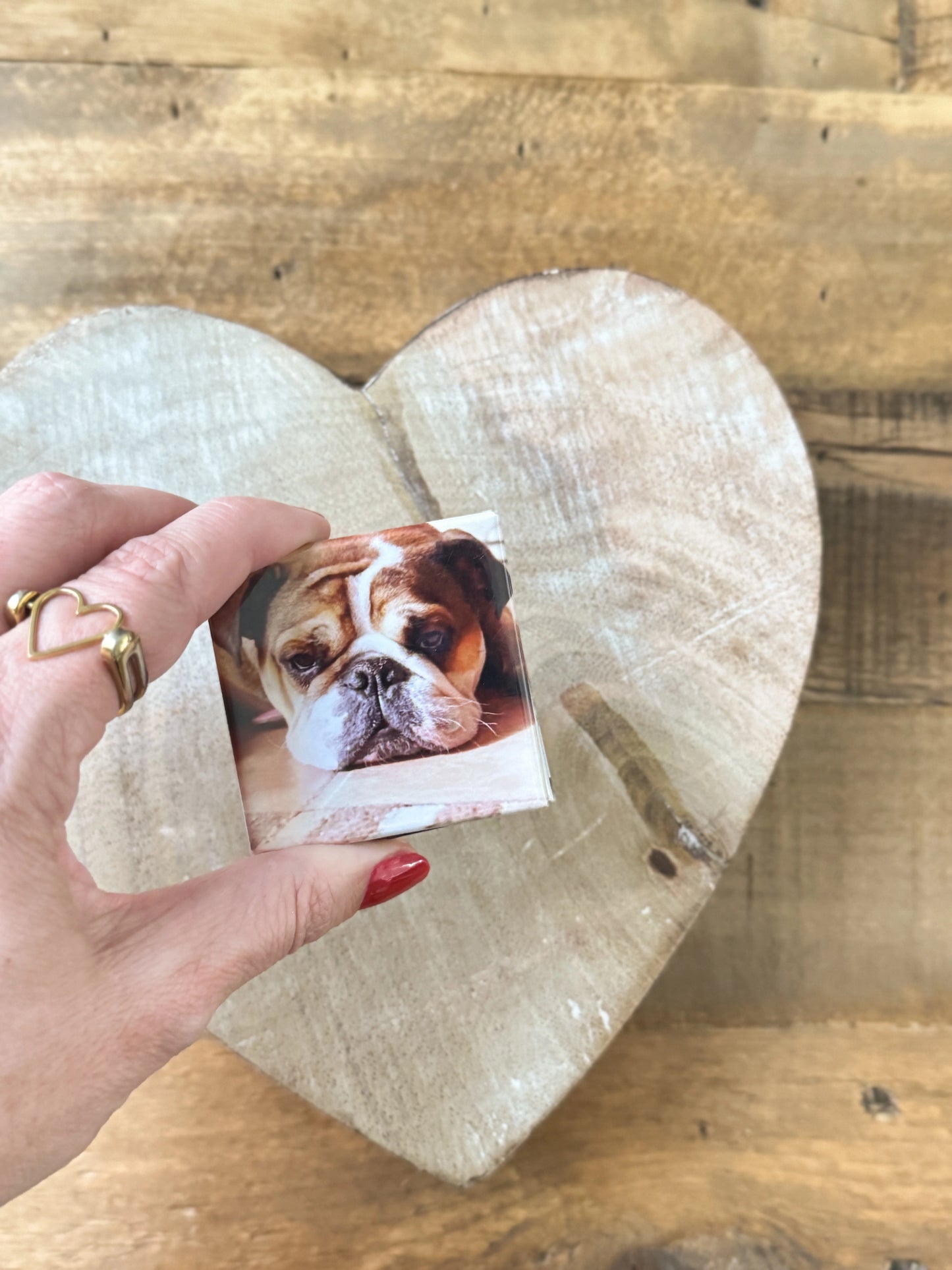 9 Custom Photo Magnet Set